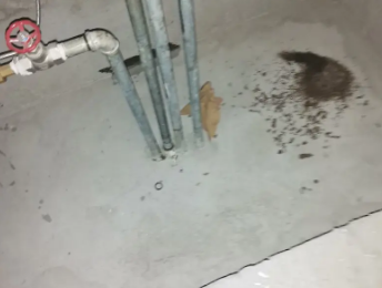 敖汉卫生间测漏水价格明细